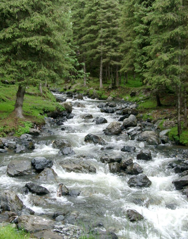 Mountain Stream